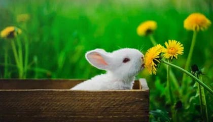 新昌最新的高价医保卡惠民保险代扣怎么取消掉了方法分享(新昌惠民医保怎么报销教程)